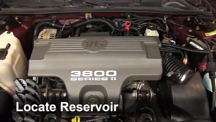 1999 Chevrolet Monte Carlo Z34 3.8L V6 Líquido limpiaparabrisas Controlar nivel de líquido